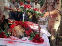 江苏丰宇金属制品有限公司