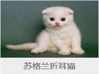江苏丰宇金属制品有限公司