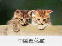 江苏丰宇金属制品有限公司