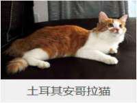 江苏丰宇金属制品有限公司