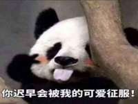 江苏丰宇金属制品有限公司