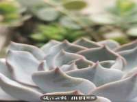 江苏丰宇金属制品有限公司