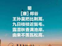 江苏丰宇金属制品有限公司