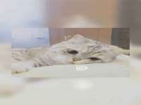 江苏丰宇金属制品有限公司