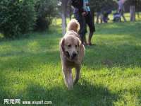 江苏丰宇金属制品有限公司